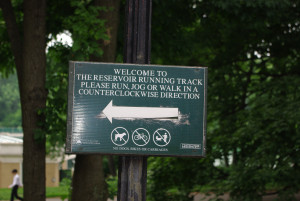 IMGP1701.JPG