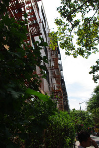 IMGP1714.JPG