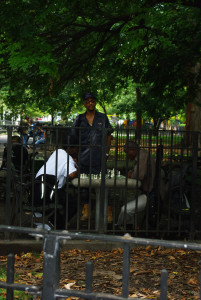 IMGP1730.JPG
