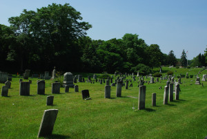 IMGP1749.JPG