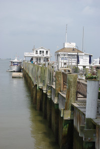 IMGP1768.JPG