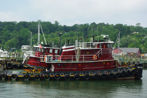 IMGP1770.JPG