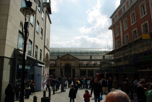 IMGP2549.JPG