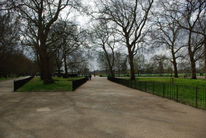 IMGP2595.JPG