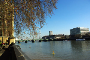 IMGP2658.JPG
