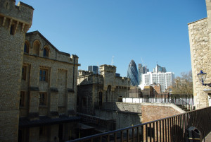 IMGP2699.JPG