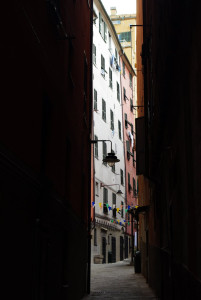3747_IMGP3184.jpg