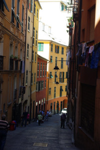 3767_IMGP3205.jpg