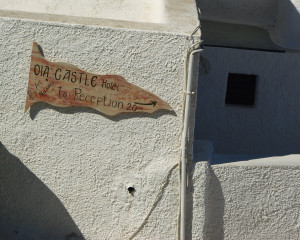 3838_IMGP3277.jpg