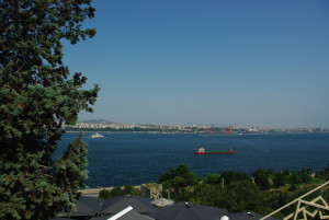 3937_IMGP3377.jpg