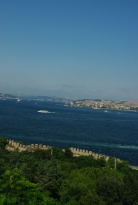 3938_IMGP3378.jpg