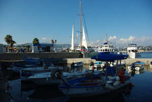 4125_IMGP3581.jpg