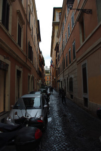 IMGP4019.JPG
