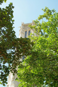 7940_IMGP6183.jpg