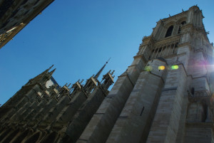 7954_IMGP6197.jpg