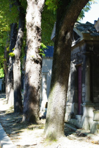 8044_IMGP6287.jpg