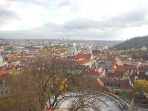 8290_DSCN0888.jpg