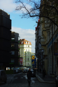8315_IMGP6452.jpg