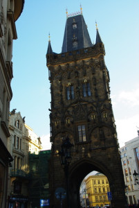 8323_IMGP6460.jpg