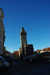 8328_IMGP6465.jpg