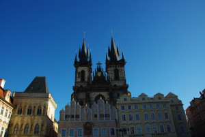 8331_IMGP6468.jpg