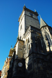 8334_IMGP6471.jpg