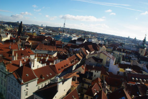 8342_IMGP6480.jpg