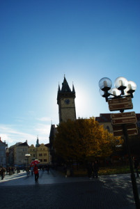 8368_IMGP6506.jpg