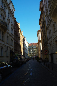 8372_IMGP6510.jpg