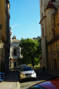 8375_IMGP6513.jpg