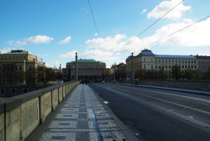 8390_IMGP6529.jpg