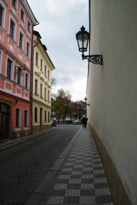 8400_IMGP6539.jpg