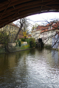 8403_IMGP6542.jpg