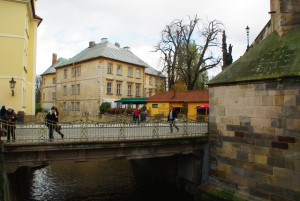 8404_IMGP6543.jpg