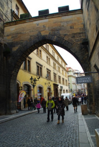 8406_IMGP6545.jpg