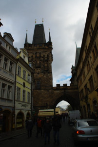 8411_IMGP6550.jpg