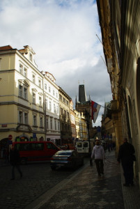 8413_IMGP6552.jpg