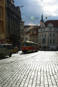 8424_IMGP6563.jpg