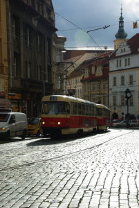 8425_IMGP6564.jpg