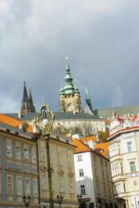8429_IMGP6568.jpg