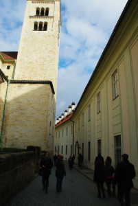 8437_IMGP6577.jpg