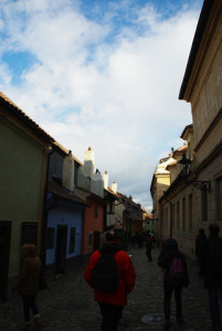 8441_IMGP6581.jpg