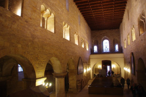 8448_IMGP6588.jpg