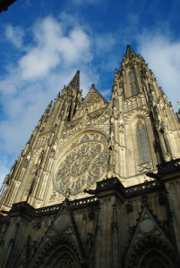 8449_IMGP6589.jpg