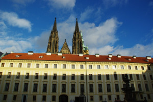 8451_IMGP6591.jpg