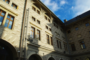 8454_IMGP6594.jpg
