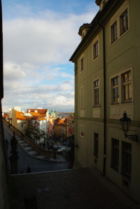 8459_IMGP6599.jpg
