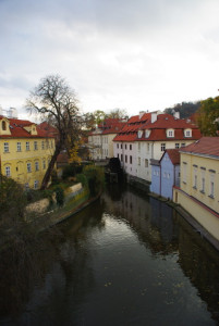 8463_IMGP6609.jpg