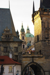 8465_IMGP6611.jpg