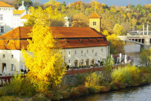 8474_IMGP6620.jpg